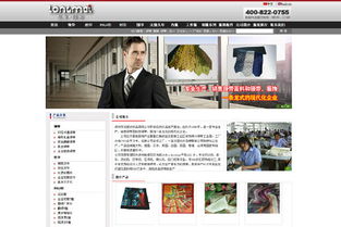 专业设计团队助力罗湖营销型网站建设 高清产品图片与高效维护的致胜之道