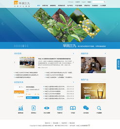 医药企业如何通过网站建设，铸就卓越品牌形象